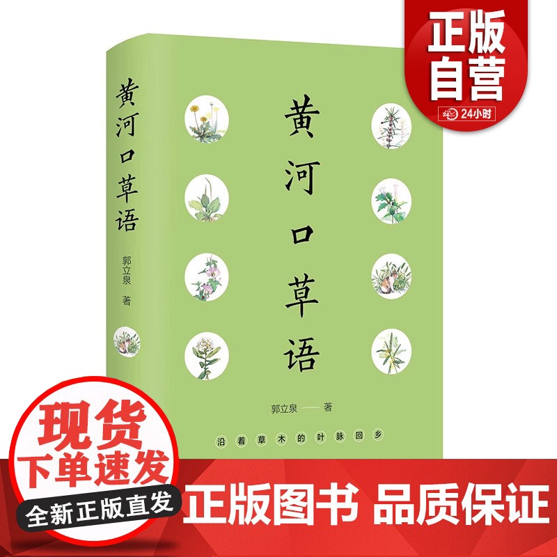 [正版]黄河口草语 郭立泉 山东文艺出版社 9787532972821 zy