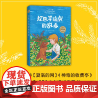 红色羊齿草的故乡 动物小说 成长 励志 小学生课外读物 爱心树世界经典童书精选 儿童文学 7-10 11-14 正版