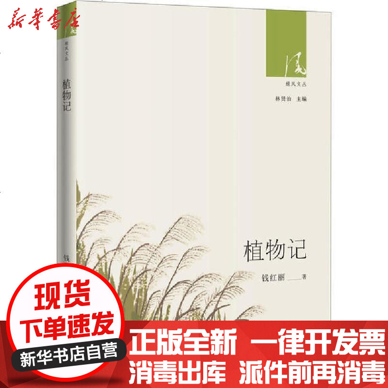 [新华书店]正版 植物记钱红丽9787536089181花城出版社 书籍