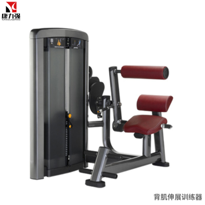 康力强LS519商用坐式背部伸展后压背肌练习肌肉专项训练局部型力量器械