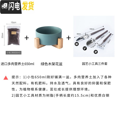 三维工匠ins多肉植物花盆陶瓷北欧简约木架创意无孔绿萝铜钱水培花盆小 绿色花盆+多肉土+园艺工具13元 中花盆容器