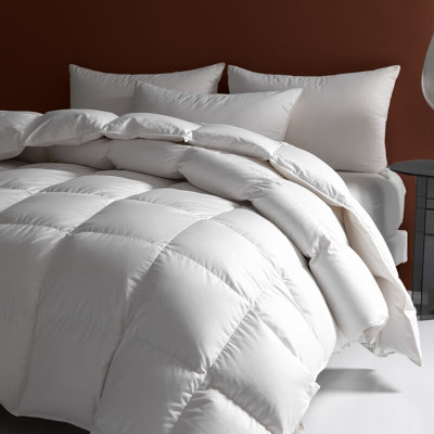 广临 蚕丝被GLCSB-02(可定制)