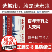 中国城市大变局 解读城市竞争的底层逻辑 经济大趋势系列 凯风 著 经济