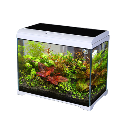免换水生态鱼缸超白玻璃热带小鱼缸 客厅小型家用智能水族箱