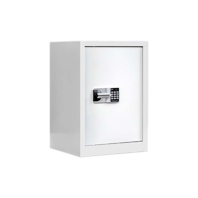 东升顺保密柜财务档案柜文件柜办公室资料储物柜保险柜电子密码国保锁单门白色-国保密码锁