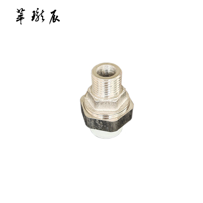 萃珑辰 PPR外丝活接 DN20 个