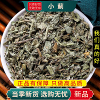 甄选小蓟100克刺儿菜干货煮水小计青青草刺狗牙刺儿菜9260