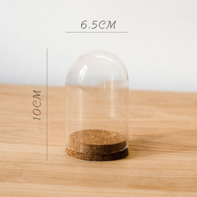 家柏饰(CORATED)软木塞玻璃罩 装饰摆件微景观干花标本公仔玩偶瓶DIY C(6.5cmX10cm)