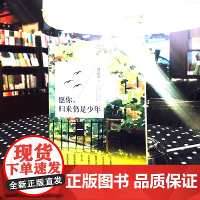 正版 愿你归来仍是少年 全彩插图本 林清玄启悟人生系列 现当代文学散文精选集近代随笔故事 多篇文章入选课本及高考 书