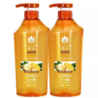 蜂花(BEE & FLOWER)健发生姜洗发露750ml*2瓶洗发水 共计1500ml装