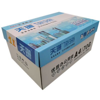 宣皇 天珊A3纸打印纸白纸500张单包草稿纸学生用纸加厚白色办公用品复印纸幼儿园儿童画画 天珊A3 80G 4包/箱