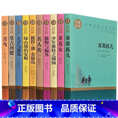[正版]世界十大文学名著 名家名译套装全10册 茶花女雾都孤儿名人传傲慢与偏见青鸟金银岛成人青少年版课外阅读小说书