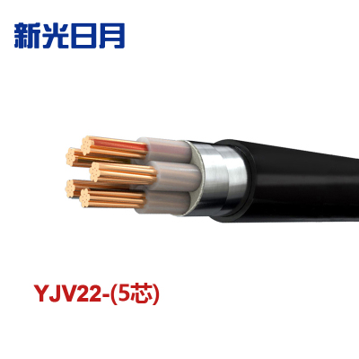 新光日月 交联聚乙烯绝缘铠装电力电缆YJV22(5芯)6平方/每米