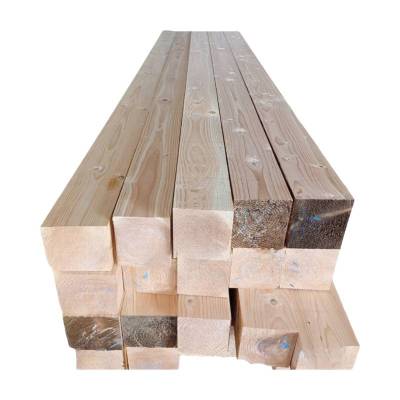 泽奋 木方 200*200*2700mm 根