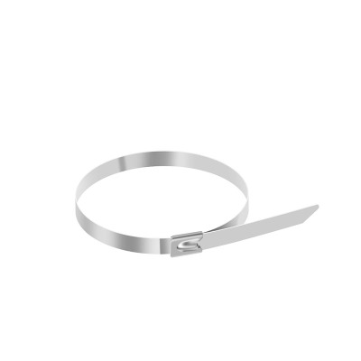 菲尔阿扎 PHIL ARZA 不锈钢扎带 4.6*600mm/包