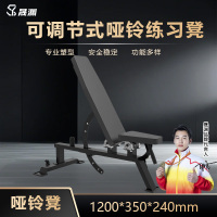 晟渊 专业哑铃凳商用多功能健身椅家用可调节卧推凳 YZTJ49