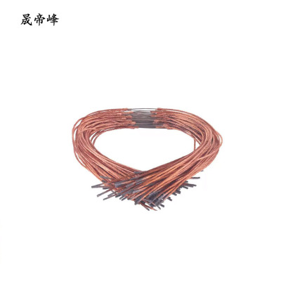 晟帝峰 熔丝 10-10A 根