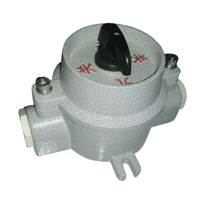 中兴防爆 防爆照明开关SWB-10系列 SWB-10/220V