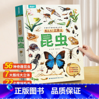 那么大!昆虫立体书 [正版]那么大恐龙3d立体书儿童3-6-8-12岁以上绘本翻翻书趣味科普恐龙百科全书揭秘恐龙世界绘本