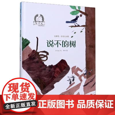 说不的树精装硬壳金羽毛·中国原创绘本中国原创绘本儿童绘本3-6-7-8周岁幼儿园早教书籍启蒙一年级课外阅读书籍睡前故事海