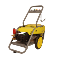 卡西斯顿 洗车机 CY3010C 台