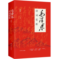 音像毛诗词赏析黄辉映 编著