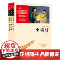 当当正版书籍冰心儿童文学选集 繁星春水 寄小读者 小橘灯 套装共3册 中小学生课外阅读指导丛书 彩插无障碍阅读