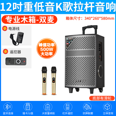 夏新(AMOI)户外音响SA-802 双咪版