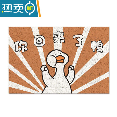 敬平卡通进门地垫入户门垫丝圈防滑刮泥脚垫玄关门厅防滑地毯大门口垫防滑垫