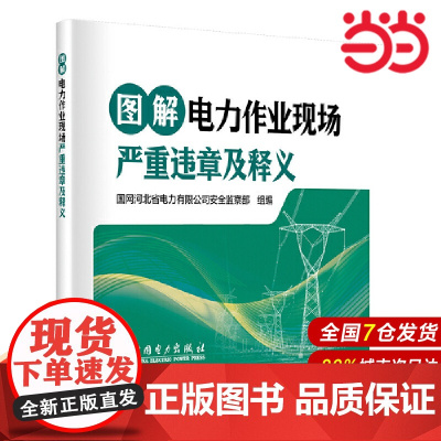 图解电力作业现场严重违章及释义.国网河北省电力有限公司安全监察部9787519893309