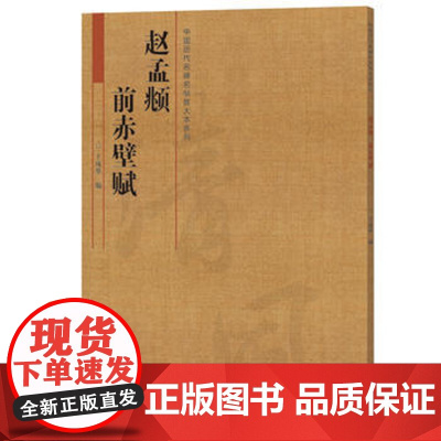 赵孟俯行书前赤壁赋放大本 中国历代名碑名帖赵孟頫行书字帖笔书法入门自学技法临摹鉴赏书籍 河南美术出版社
