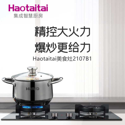 Haotaitai 燃气灶 JZT/Y-2107B1 家用双灶 5.0kW火力 黑钢玻璃面板 液化气
