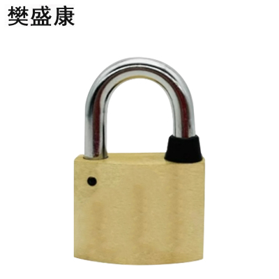 樊盛康 铜锁挂锁 40锁体20梁 把