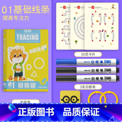 [基础线条]一盒体验装 [正版]幼儿控笔训练幼儿园幼小衔接练字帖专注力训练字小学生可反复使用趣味训练卡3-8岁儿童启蒙益