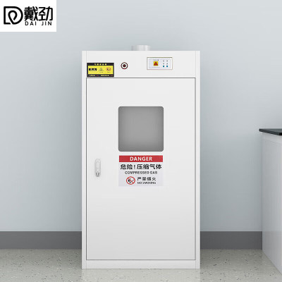 戴劲气瓶柜防爆柜易燃气体存储柜易爆气体存放柜安全柜 [液化气瓶柜]单瓶二代