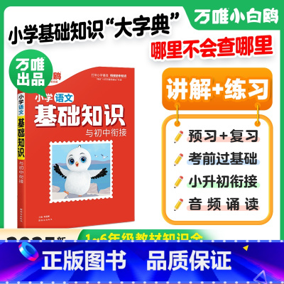 小学[语文]基础知识与初中衔接 小学通用 [正版]万唯小学基础知识大全手册语文小升初总复习强化训练一二三四五六年级小白鸽