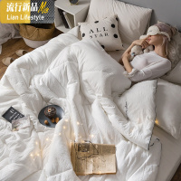 被子冬被加厚保暖春秋被芯双人空调被宿舍单人棉被褥学生太空被子 三维工匠