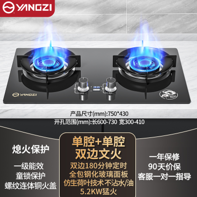 扬子燃煤气灶炉双灶家用天然气液化气猛火灶台式嵌入式 荷叶涂层5.2kW双文火_液化气