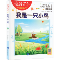 音像我是一只小鸟赖松廷