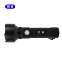 衡睿 应急照明灯手电 HR7307 个