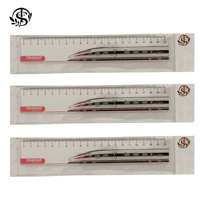 同盛 文创尺子定制 20cm 个