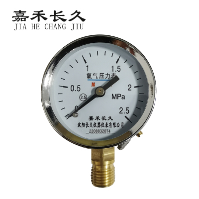 嘉禾长久/氧气压力表/YO60 0-2.5Mpa/个