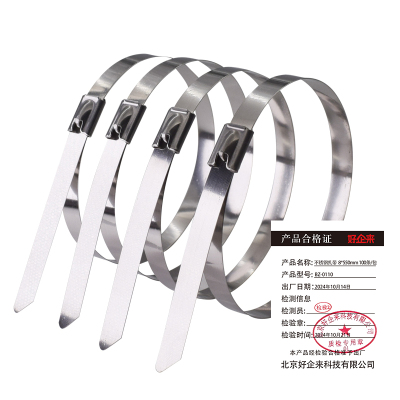 好企来 不锈钢扎带 BZ-0110 8*550mm 100条/包