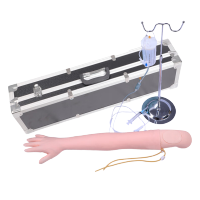 恒则卫勤 OF-HS2-1高级手臂静脉穿刺及肌肉注射模型(可换手皮)卫勤战救器材