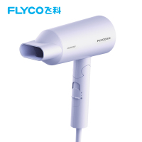 FLYCO飞科电吹风FH6277