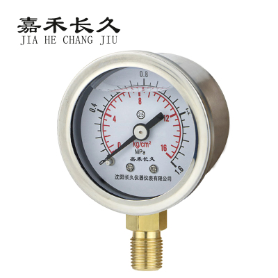 嘉禾长久/耐震压力表 定制检测款 YN50/个