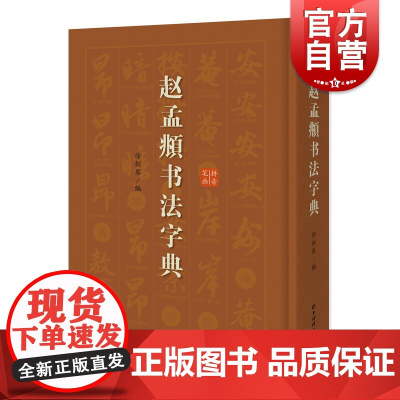 赵孟頫书法字典 拼音笔画赵体赵孟俯楷书行书草书书法篆刻技毛笔字帖碑帖墨迹临摹赤壁赋胆巴碑洛神赋 上海辞书出版社