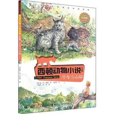 醉染图书少年与山猫9787544859868
