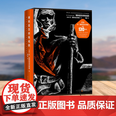 钢铁是怎样炼成的(尼奥斯特洛夫斯基诞辰120周年纪念版) 尼·奥斯特洛夫斯基闪耀理想主义与英雄主义光辉的经典之作