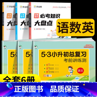 [全6册]大盘点+总复习 语数英 小学升初中 [正版]2024版53小升初总复习真题卷语文数学英语六年级下册试卷测试卷